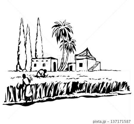 Vector drawing. Reapers in the field Vector drawing. Reapers in the field 137171587