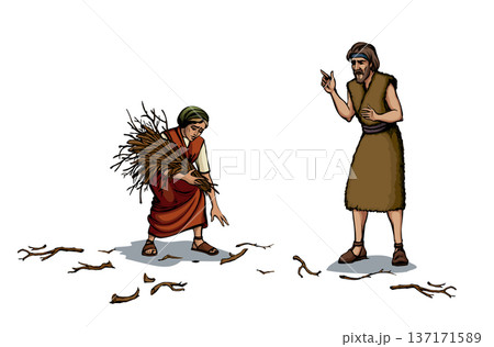 Vector drawing. Woman collecting firewood Vector drawing. Woman collecting firewood 137171589