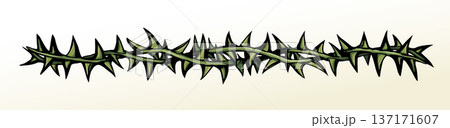 Vector drawing. Big thorn branch 137171607