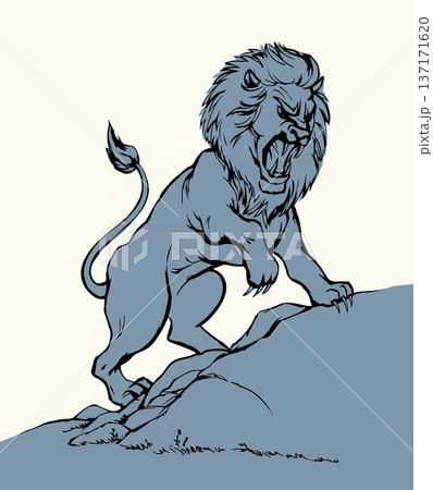 Vector drawing. An angry lion 137171620