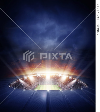 The stadium	 137171647