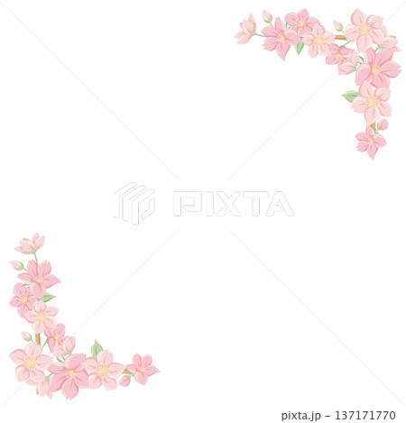 桜の花のコーナーフレーム 角飾りセット 春のフラットイラスト 飾り枠 卒業 入学 和風 137171770