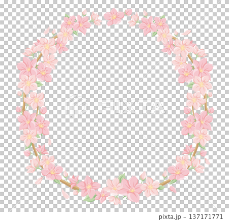 桜の花の円形フレーム リース 飾り枠 春のフラットイラスト 入学 卒業 お祝い 和風 137171771