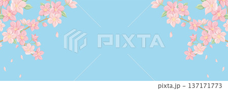 桜と青空のバナー背景 中央文字入れ用 春のフラットイラスト フレーム 卒業 入学 販促 桜と青空のバナー背景 中央文字入れ用 春のフラットイラスト フレーム 卒業 入学 販促 137171773