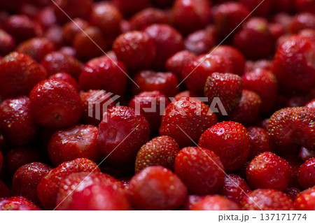 Strawberry background. Close-up of fresh red strawberries. 137171774
