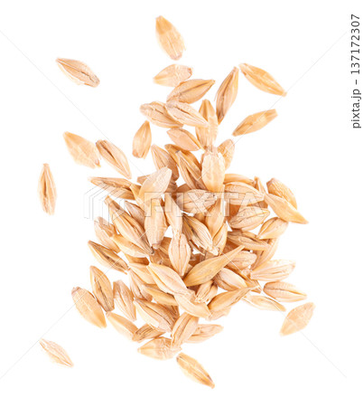 Malted barley grains isolated on white background. Barley seeds close up. Clipping path. Top view. Malted barley grains isolated on white background. Barley seeds close up. Clipping path. Top view. 137172307