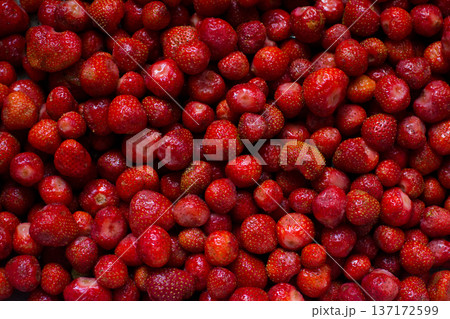 Strawberries in a bowl on the table.  137172599