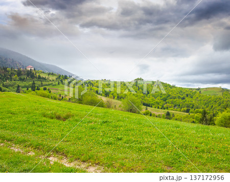 remote countryside in mountain landscape. hazy weather during spring. dirt road through lush green pasture on a hill. alpine vista with deciduous trees beneath an overcast sky 137172956