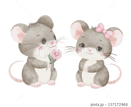 Two cute gray mice giving pink flower. Romantic animal couple. Watercolor illustration of friendship and love, isolated on white. For Valentine's Day cards, children's books, nursery room decor Two cute gray mice giving pink flower. Romantic animal couple. Watercolor illustration of friendship and love, isolated on white. For Valentine's Day cards, children's books, nursery room decor 137172968