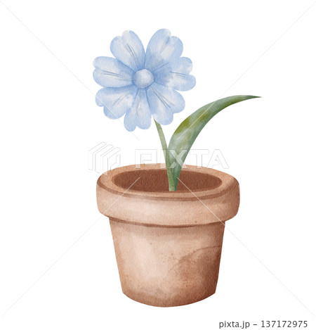 Watercolor terracotta pot with blue flower, botanical illustration potted plant, green leaves, isolated on white, for eco-friendly seed packaging design, gardening product label, greeting card Watercolor terracotta pot with blue flower, botanical illustration potted plant, green leaves, isolated on white, for eco-friendly seed packaging design, gardening product label, greeting card 137172975