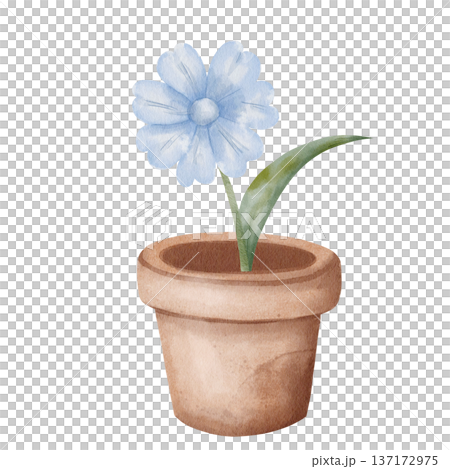 Watercolor terracotta pot with blue flower, botanical illustration potted plant, green leaves, isolated on white, for eco-friendly seed packaging design, gardening product label, greeting card Watercolor terracotta pot with blue flower, botanical illustration potted plant, green leaves, isolated on white, for eco-friendly seed packaging design, gardening product label, greeting card 137172975