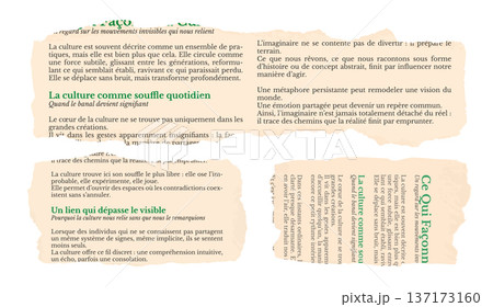 Torn French Newspaper Pieces Isolated on White Background 137173160