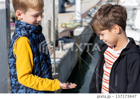 Two boys looking at seashell in open palm at marina, childhood curiosity, coastal exploration and discovery Two boys looking at seashell in open palm at marina, childhood curiosity, coastal exploration and discovery 137173647