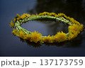 dandelion wreath 137173759