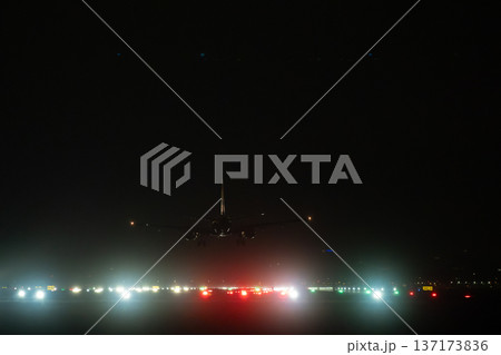 Rear view of aircraft during landing approach with bright green and red navigation lights on airfield 137173836