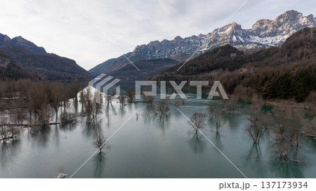 Scenic view of a mountain lake with flooded bare trees under a cloudy sky in the Pyrenees northern Spain Scenic view of a mountain lake with flooded bare trees under a cloudy sky in the Pyrenees northern Spain 137173934