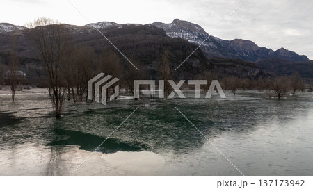 Dramatic view of leafless trees standing in deep green water with mountain slopes in winter 137173942