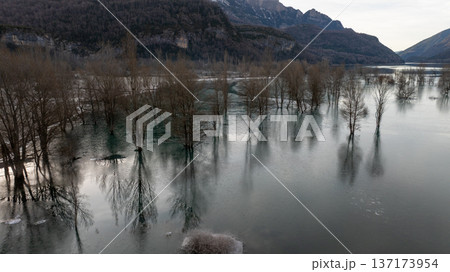 Symmetrical reflections of winter trees in a flooded valley near the spanish french border Symmetrical reflections of winter trees in a flooded valley near the spanish french border 137173954