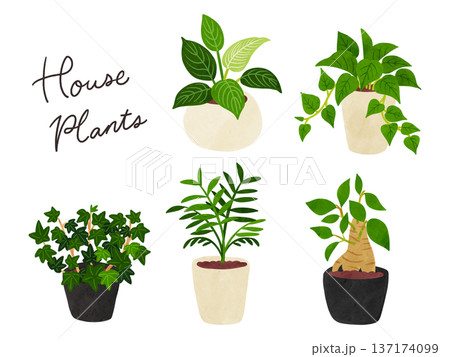観葉植物5種類のセット4　水彩風手描きイラスト 137174099