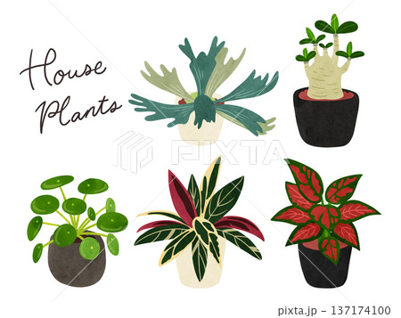 観葉植物5種類のセット5 水彩風手描きイラスト 観葉植物5種類のセット5 水彩風手描きイラスト 137174100