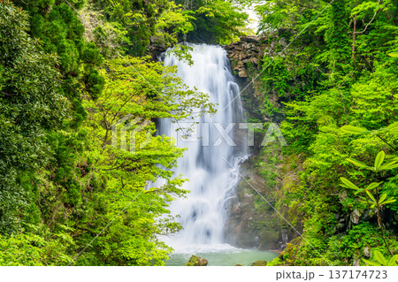 秋田 奈曽の白滝 137174723