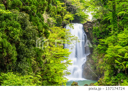 秋田 奈曽の白滝 137174724
