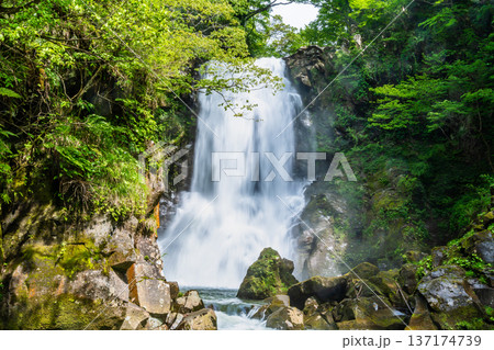 秋田 奈曽の白滝 137174739