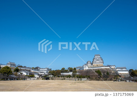 日本の兵庫県姫路市のとても美しく青空に映える姫路城 日本の兵庫県姫路市のとても美しく青空に映える姫路城 137175069