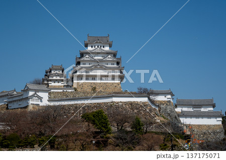 日本の兵庫県姫路市のとても美しく青空に映える姫路城 日本の兵庫県姫路市のとても美しく青空に映える姫路城 137175071