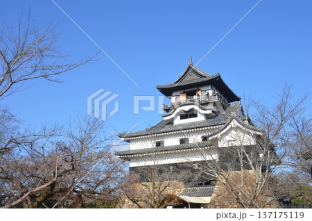木曾川と犬山城 木曾川と犬山城 137175119