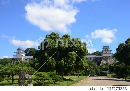 明石城址 明石城址 137175288