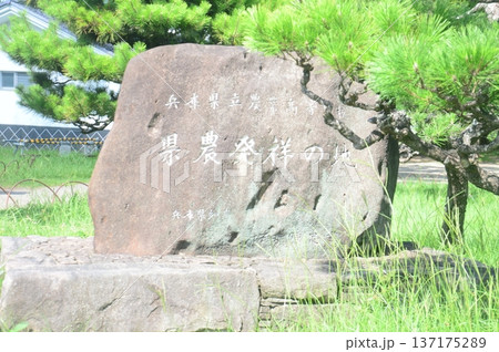明石城址 明石城址 137175289