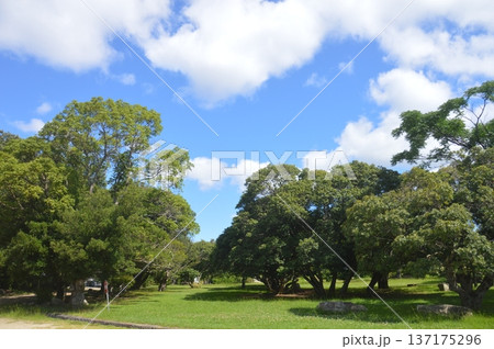 明石城址 137175296