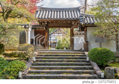 京都　東山泉涌寺別院　雲龍院（瑠璃山）山門　紅葉　もみじ 137175851