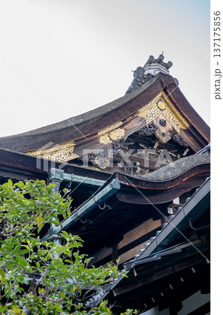 京都 東山泉涌寺(皇室の菩提寺) 御座所庭園から見上げる霊明殿の入母屋破風と懸魚 京都 東山泉涌寺(皇室の菩提寺) 御座所庭園から見上げる霊明殿の入母屋破風と懸魚 137175856