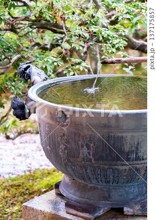 京都 東山泉涌寺(皇室の菩提寺) 御座所庭園 つくばい(手水鉢) 京都 東山泉涌寺(皇室の菩提寺) 御座所庭園 つくばい(手水鉢) 137175857