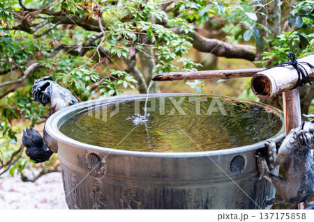 京都　東山泉涌寺（皇室の菩提寺）　御座所庭園　つくばい（手水鉢） 137175858