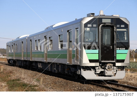 八高線を走るJR東日本HB-E220系 137175907