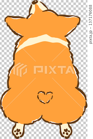 Cute Corgi sploot butt back cartoon hand drawn 137176088