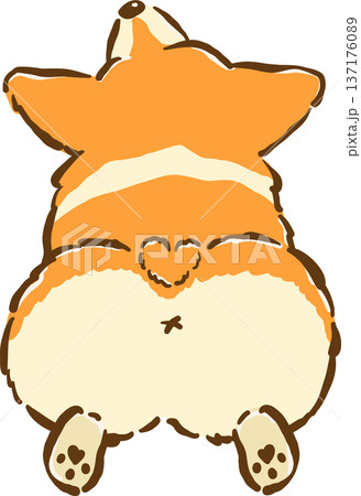 Cute Corgi butt sploot cartoon hand drawn 137176089