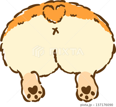 Cute Corgi butt bun cartoon hand drawn 137176090