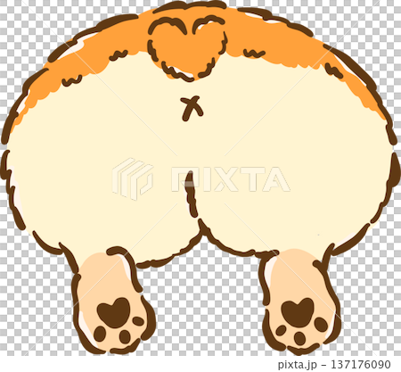 Cute Corgi butt bun cartoon hand drawn Cute Corgi butt bun cartoon hand drawn 137176090