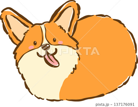 Cute Corgi sploot bread loaf shape cartoon hand drawn Cute Corgi sploot bread loaf shape cartoon hand drawn 137176091