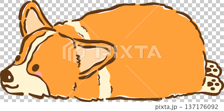 Cute Corgi dog sploot bread loaf shape cartoon hand drawn Cute Corgi dog sploot bread loaf shape cartoon hand drawn 137176092