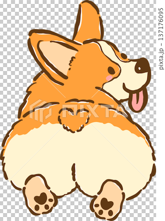 Cute Corgi sploot butt cartoon hand drawn Cute Corgi sploot butt cartoon hand drawn 137176095