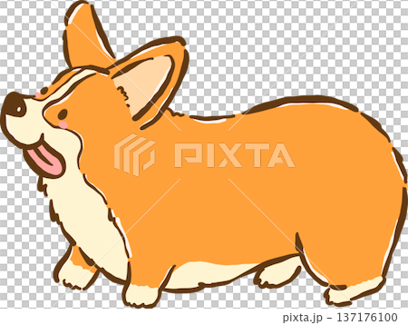 Cute Corgi dog standing cartoon hand drawn 137176100