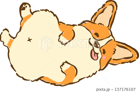 Cute Smile Corgi dog belly up lying tongue out cartoon hand drawn 137176107