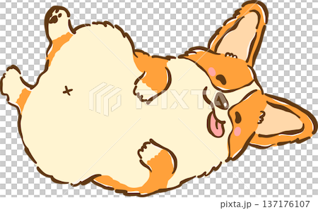 Cute Smile Corgi dog belly up lying tongue out cartoon hand drawn 137176107