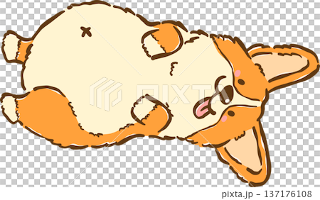 Cute silly Corgi dog belly up lying tongue out cartoon hand drawn Cute silly Corgi dog belly up lying tongue out cartoon hand drawn 137176108