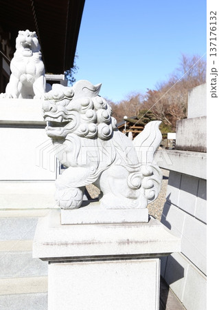 神社仏閣に鎮座する石製の狛犬 神社仏閣に鎮座する石製の狛犬 137176132
